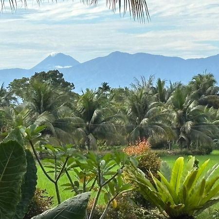 Sumatra Expedition Lodge Bukit Lawang Exterior foto