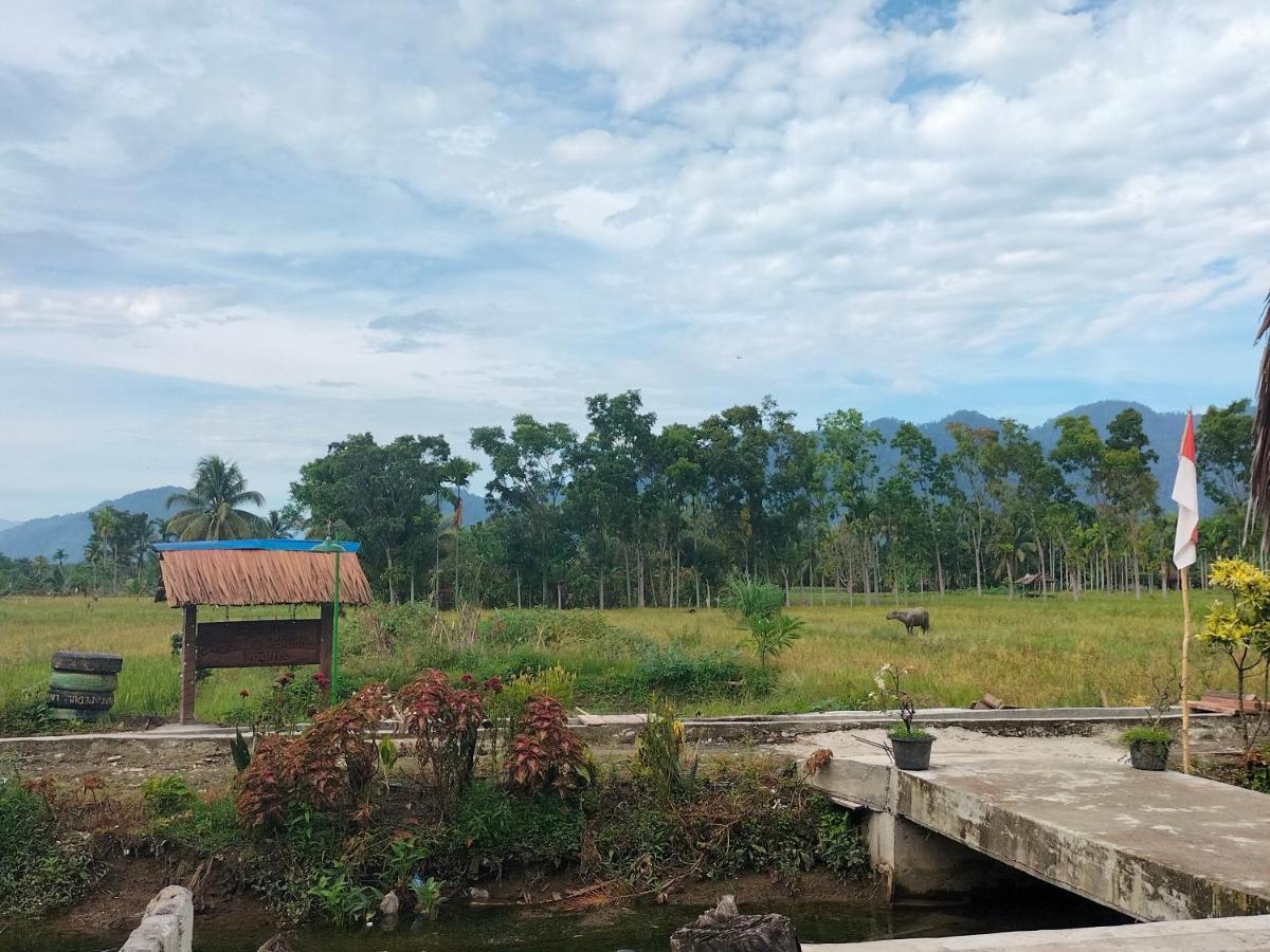 Sumatra Expedition Lodge Bukit Lawang Exterior foto