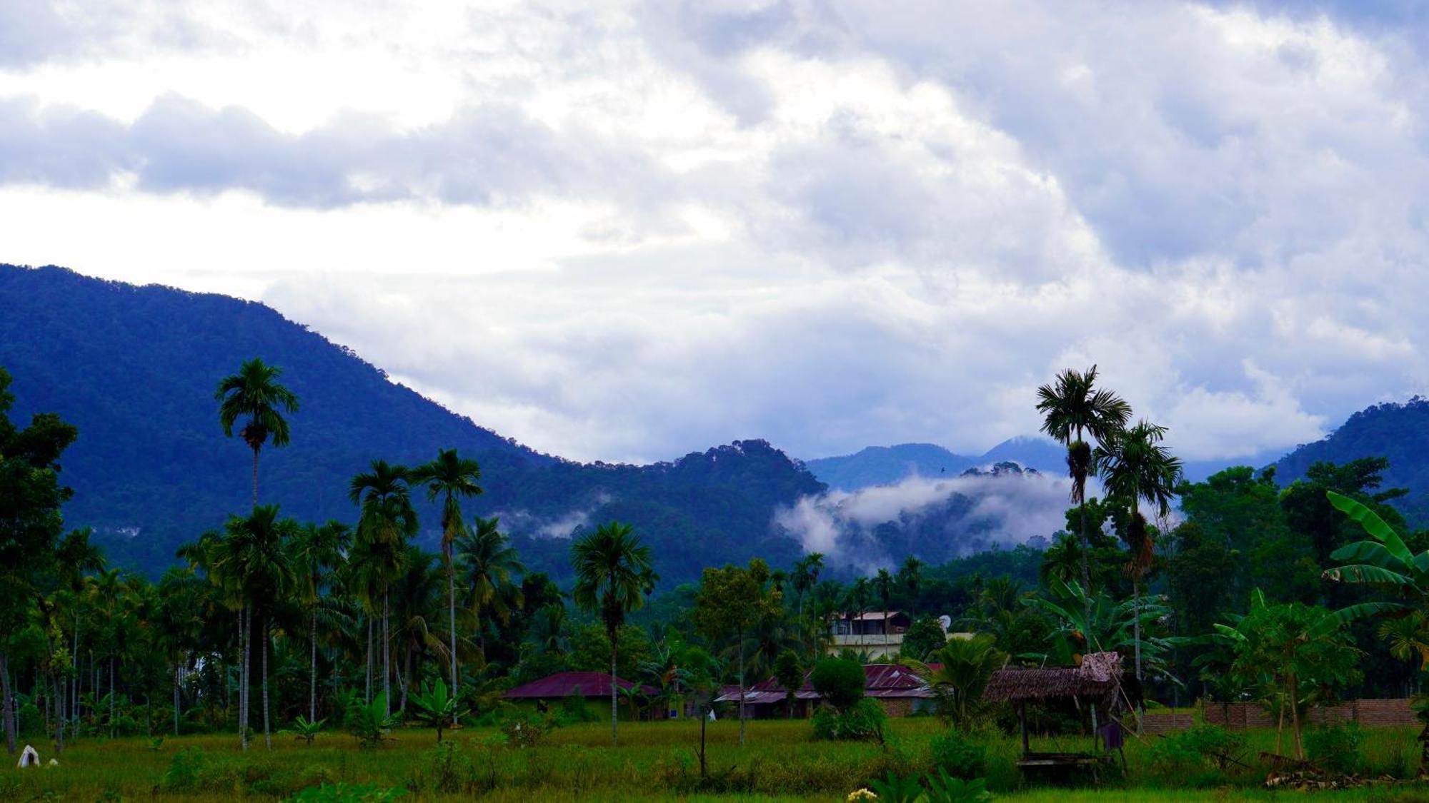 Sumatra Expedition Lodge Bukit Lawang Exterior foto
