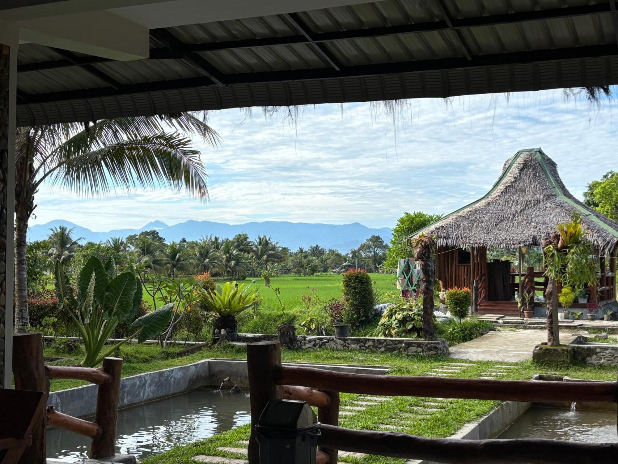 Sumatra Expedition Lodge Bukit Lawang Exterior foto