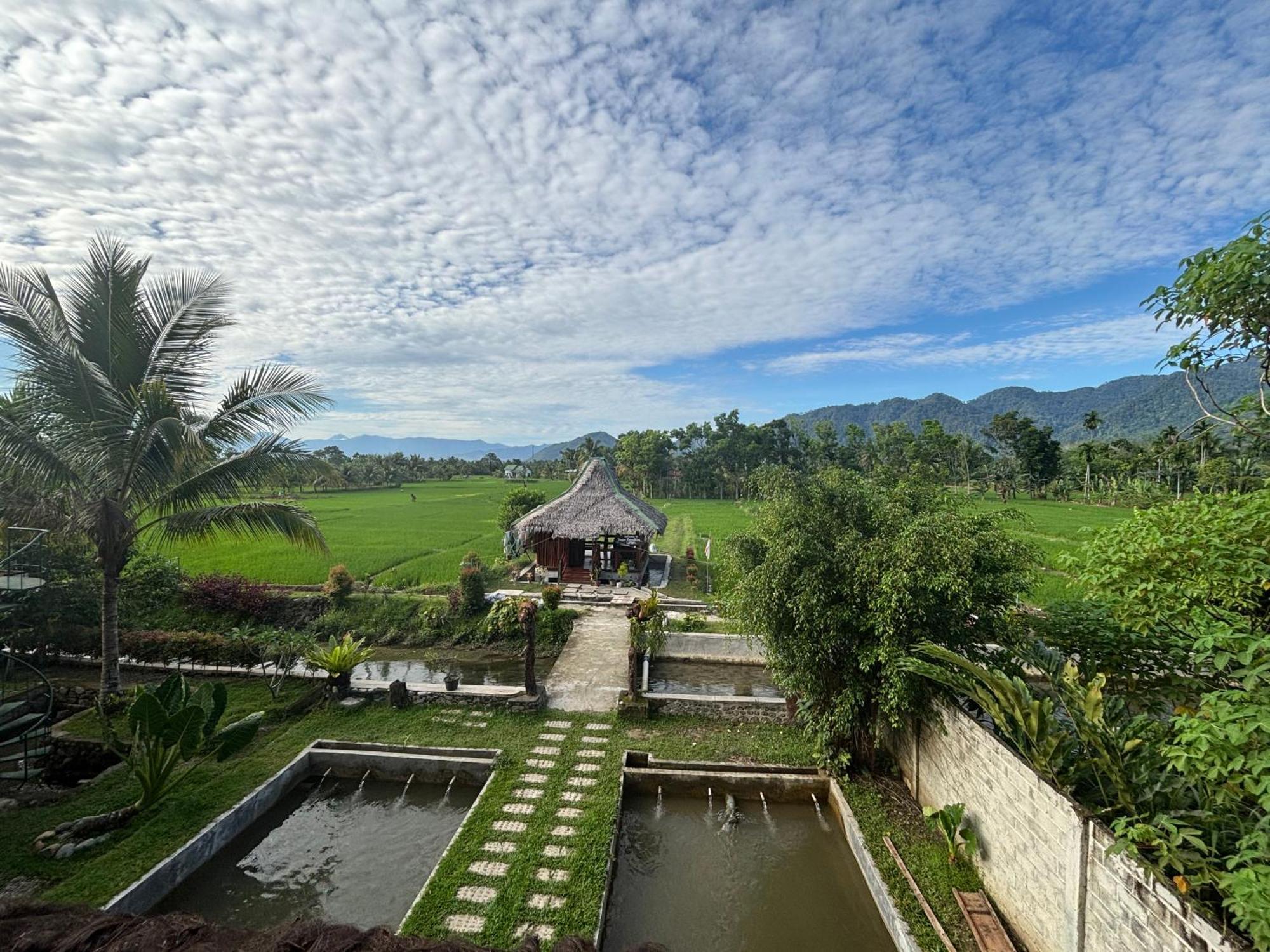 Sumatra Expedition Lodge Bukit Lawang Exterior foto
